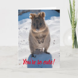 Du bist so Niedlich Quokka am Strand Valentine Karte