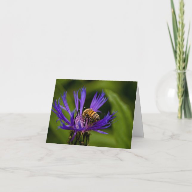 Du bist süß wie Honig grüßen Karte (Vorderseite)