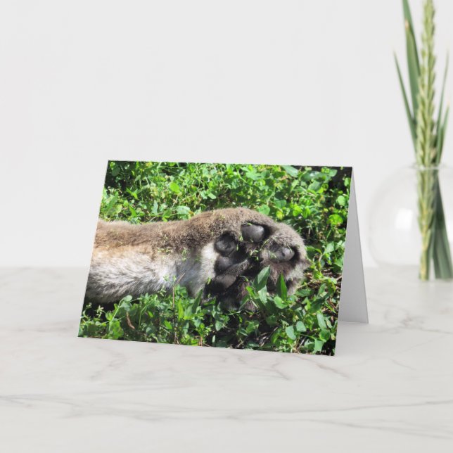 Du bist total Pau-some Dankeschön Card Karte (Vorderseite)