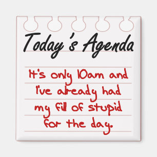 Du bist voller Dummheiten Magnet