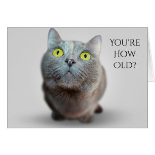Du bist wie alt? Catty Birthday Card