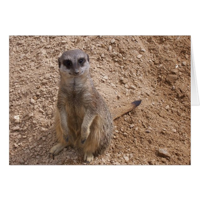 Du bringst mich zum Lächeln (Vorderseite (Horizontal))