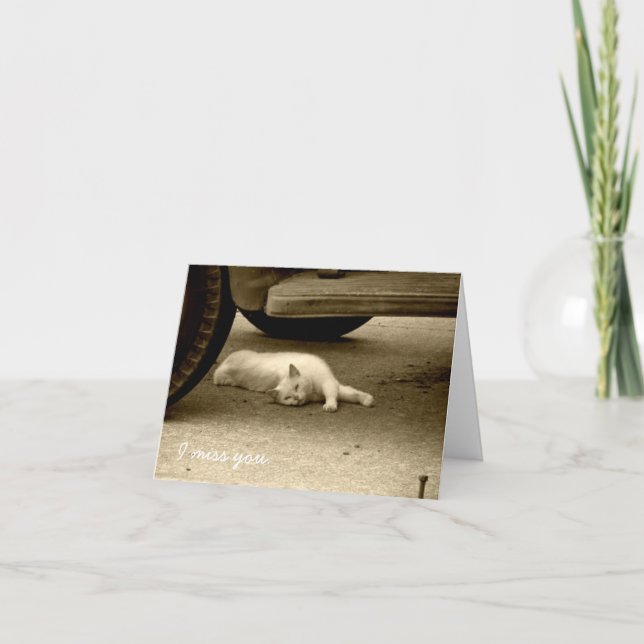 Du fehlst mir Karte - einsame Katze (Vorderseite)