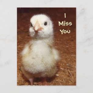 Du fehlst mir! Sad Baby Chick Postkarte
