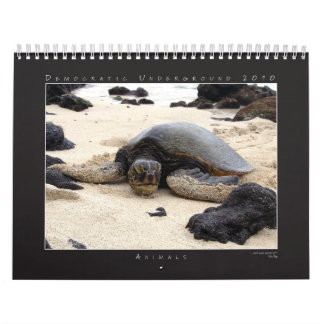 DU-Fotografie-Gruppen-Kalender 2010 Kalender