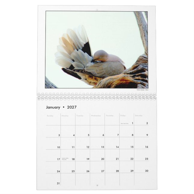 DU-Fotografie-Gruppen-Kalender 2010 Kalender (Jan 2027)
