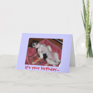Du hast Geburtstag... Karte