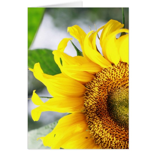 Du hast mein Leben aufgeheizt (Vorne)