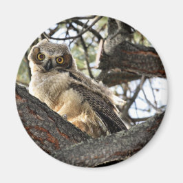 Du hast meine Augen Liebe? -Magnet Magnet