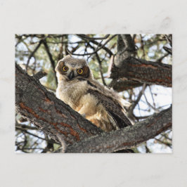 Du hast meine Augen Liebe? -Postkarte Postkarte