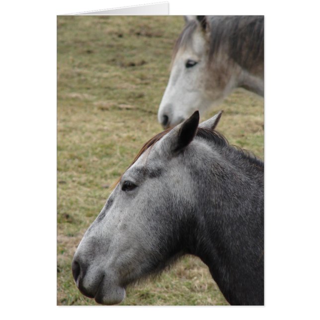 Du hast mich gemacht, aber ich habe dich immer noc (Vorne)