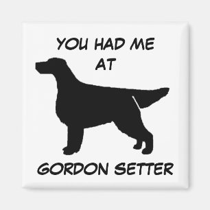DU HAST MICH IM GORDON SETTER Magnet