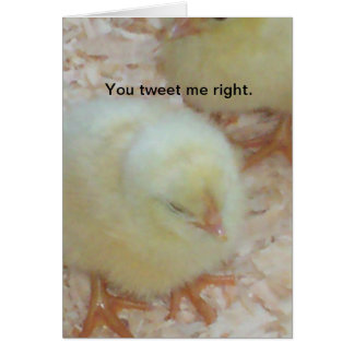 Du hast mich richtig getweetet.