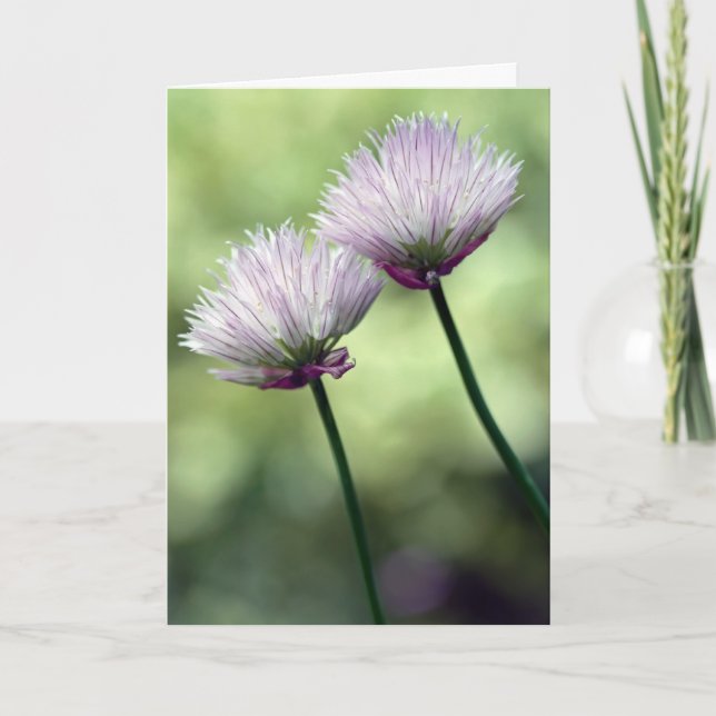 Du hast mir einen Freund got... Karte (Vorderseite)