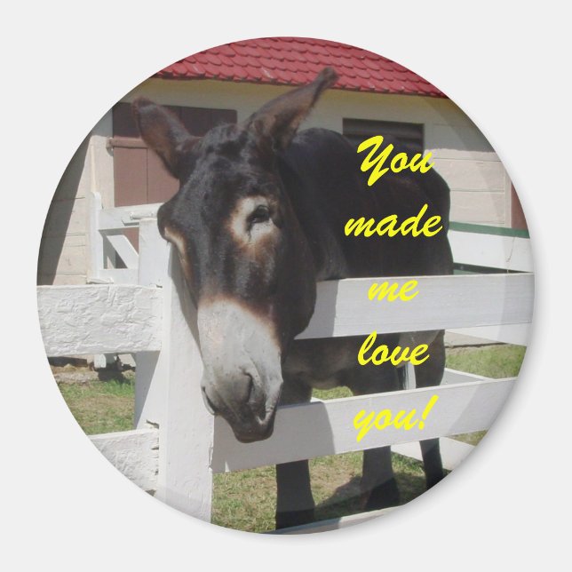Du hast mir Liebe gemacht, dass du magst Magnet (Vorne)