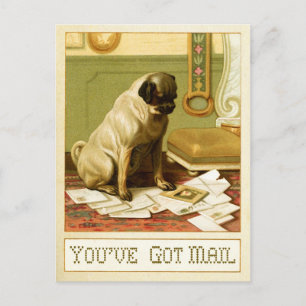 Du hast Post Postkarte