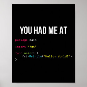 Du hattest mich bei Hallo Welt Coding Cool Gaming Poster
