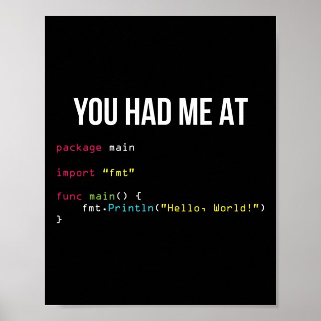 Du hattest mich bei Hallo Welt Coding Cool Gaming  Poster (Vorne)