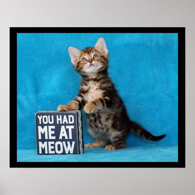 Du hattest mich in Meow Bengalisch Kitten Poster (Vorne)