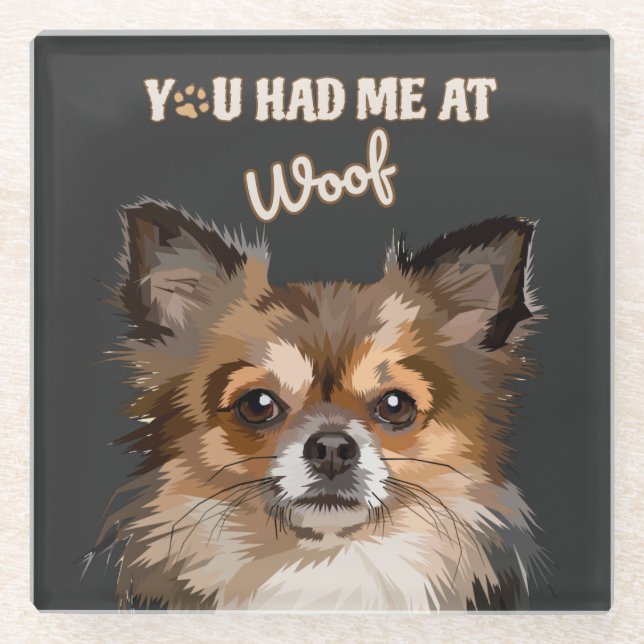 Du hattest mich in Woof | Spitz Hunde Liebhaber Glasuntersetzer (Vorderseite)