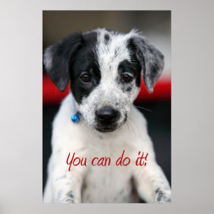 Du kannst es tun! poster