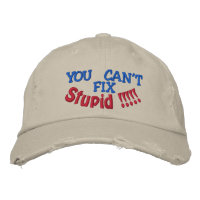 DU KANNST NICHT, FIX, Stupid !!!!!