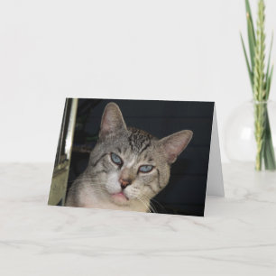 Du machst mir eine Jubiläumskarte Karte