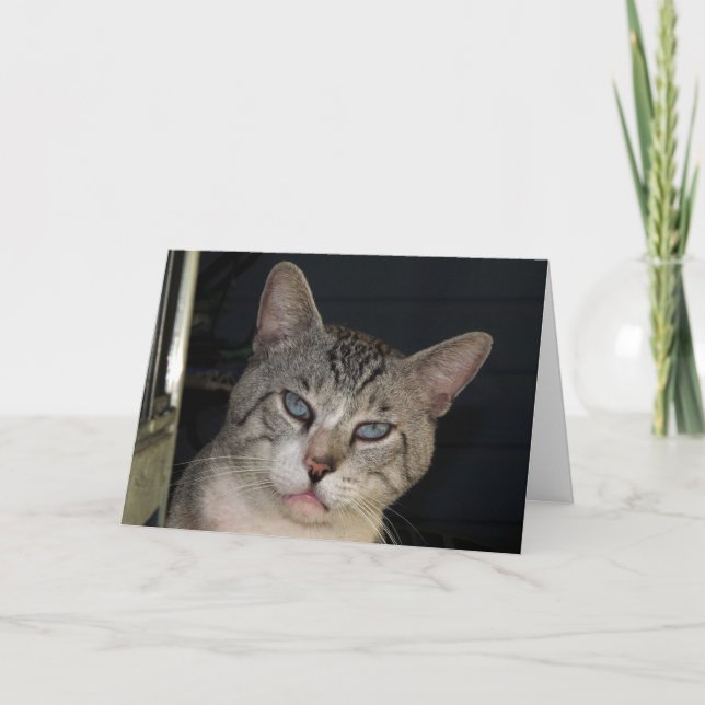 Du machst mir eine Jubiläumskarte Karte (Vorderseite)