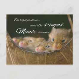 Du sagst ja immer, dass Du dringend Mäuse brauchst Postkarte