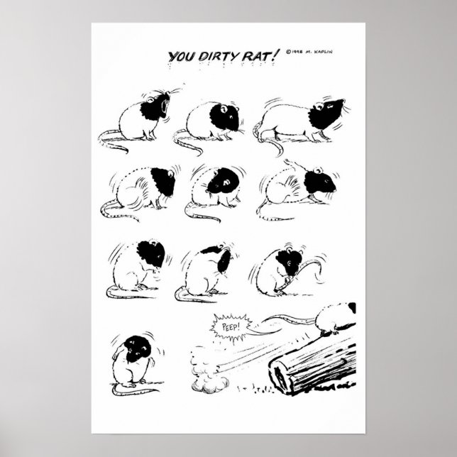 Du schmutziger Rat! Poster (Vorne)