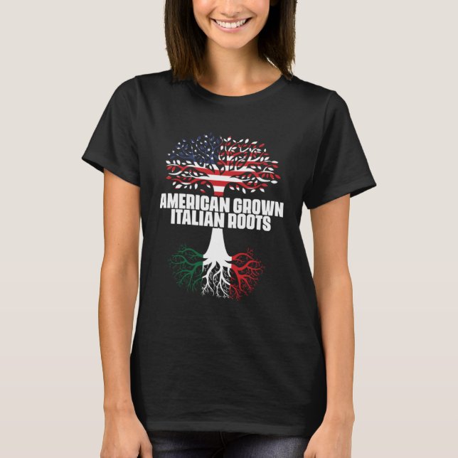 Dual Citizenship America Italy Flag Roots Italian  T-Shirt (Vorderseite)