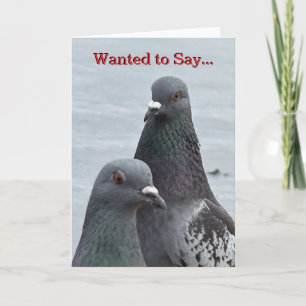 "Dual Pigeons" HELLO Grußkarte Einladung