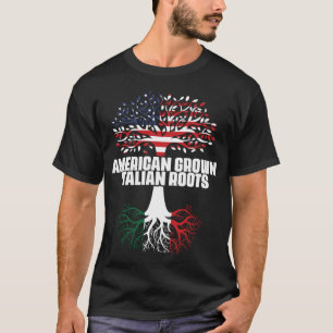 Duale Staatsbürgerschaft Amerika Flagge Roots Ital T-Shirt