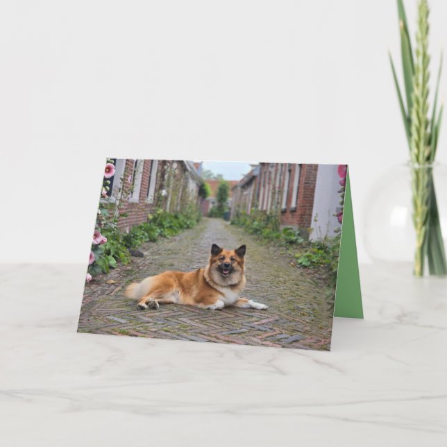 Dubbele wenskaart karte (Vorderseite)