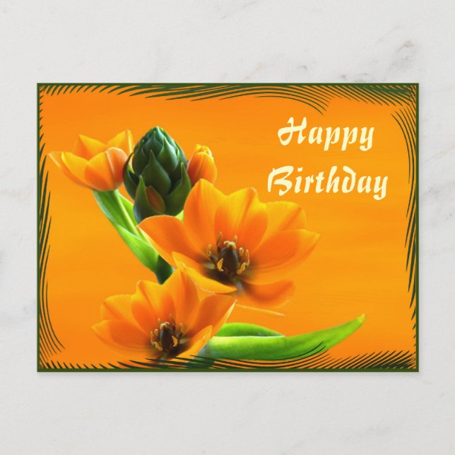 Dubium Postkarte (Vorderseite)