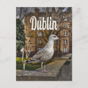 Dublin Ireland Bird on Bridge Postkarte