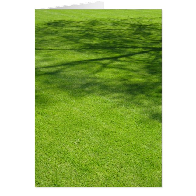 Dublin-Schatten (Vorne)