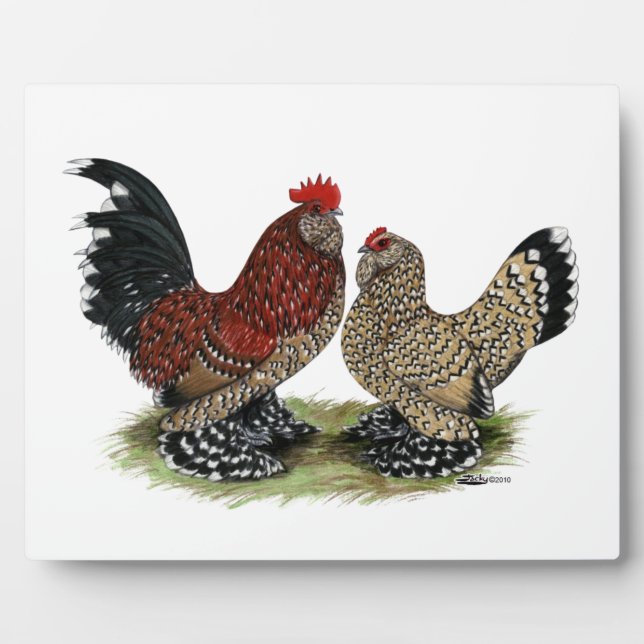 D'Uccle Bantams:  Mille Fleur Fotoplatte (Vorderseite)