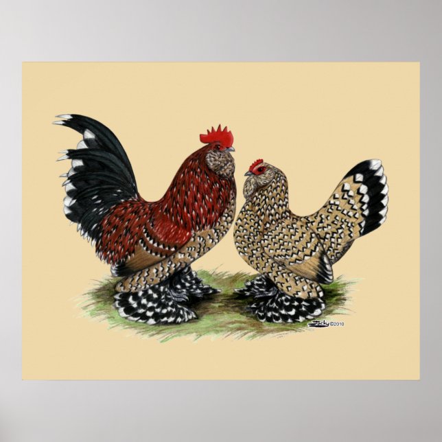 D'Uccle Bantams: Mille Fleur Poster (Vorne)
