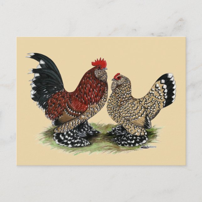 D'Uccle Bantams: Mille Fleur Postkarte (Vorderseite)