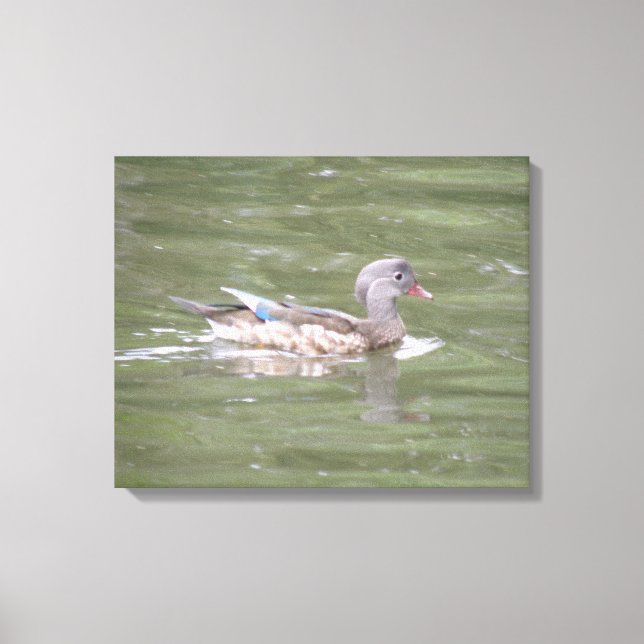 Duck am Canvas-See Print Leinwanddruck (Vorderseite)