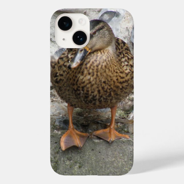 Duck an einer Mauer Case-Mate iPhone Hülle (Rückseite)