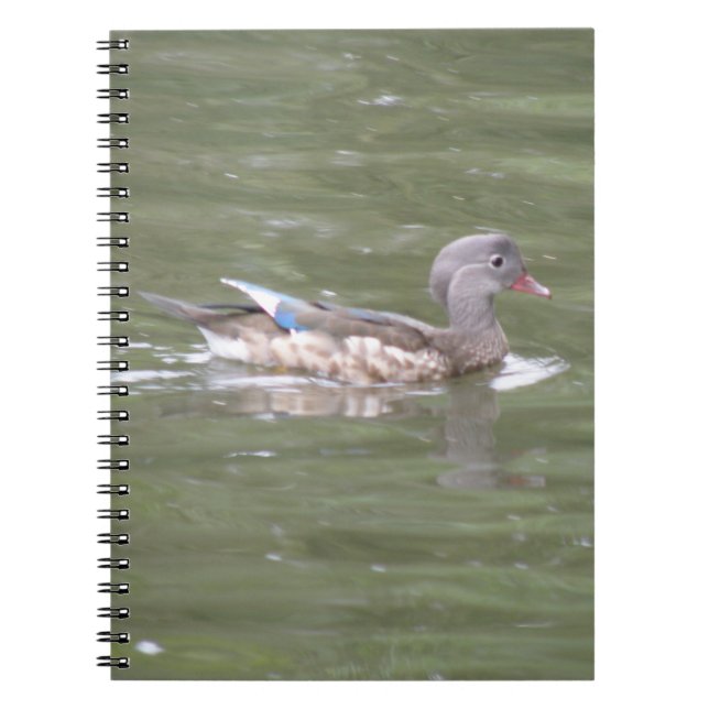 Duck auf dem Notebook-See Notizblock (Vorderseite)