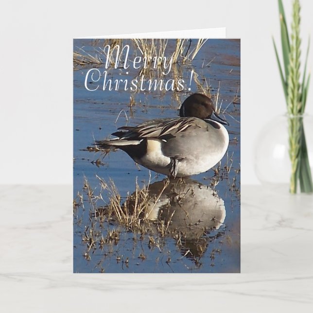 Duck Bird Animal Christmas Holidays Feiertagskarte (Vorderseite)