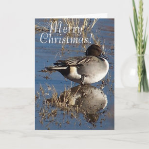 Duck Bird Animal Christmas Holidays Feiertagskarte