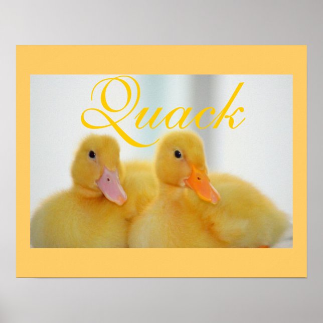 Duck Bird Animal Niedlich Chick Quack Poster (Vorne)
