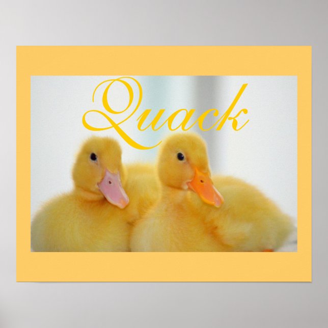 Duck Bird Animal Niedlich Chick Quack Poster (Vorne)