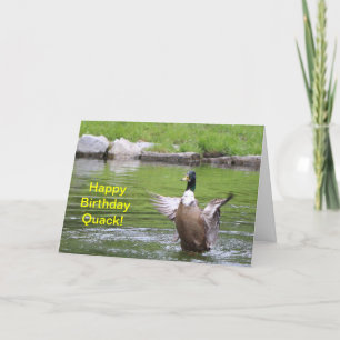 Duck Birthday Card Karte