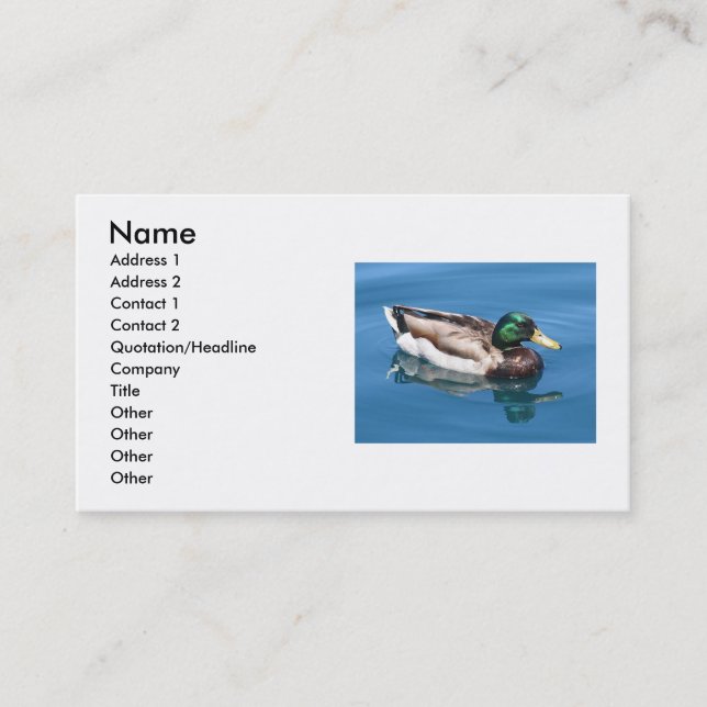 Duck Business Card Visitenkarte (Vorderseite)
