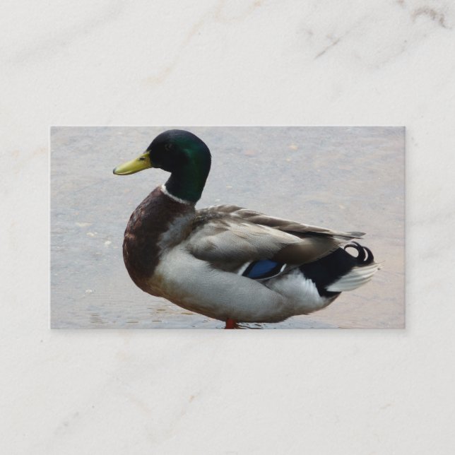 Duck Business Cards Visitenkarte (Vorderseite)